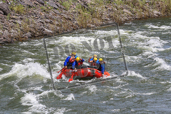 20260619-IMG_7849