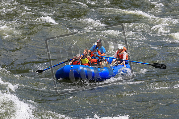 20260619-IMG_7498