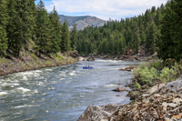 20260619-IMG_7491