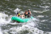 20260619-IMG_7737