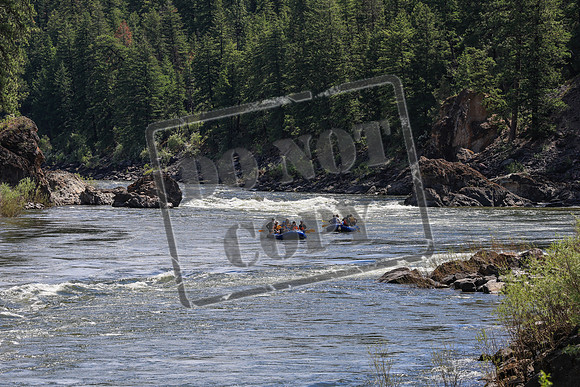 20260619-IMG_6844