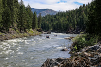 20260619-IMG_6845