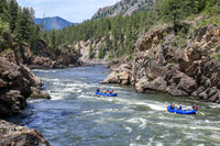 20260619-IMG_6883