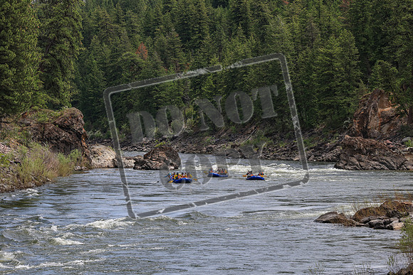 20260619-IMG_7398