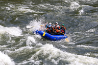 20260619-IMG_7412