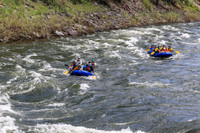 20260619-IMG_7407