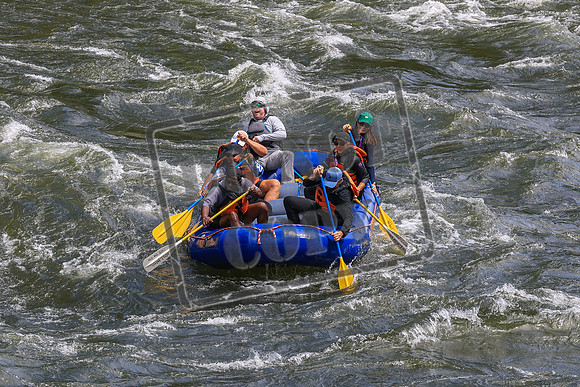 20260619-IMG_7408