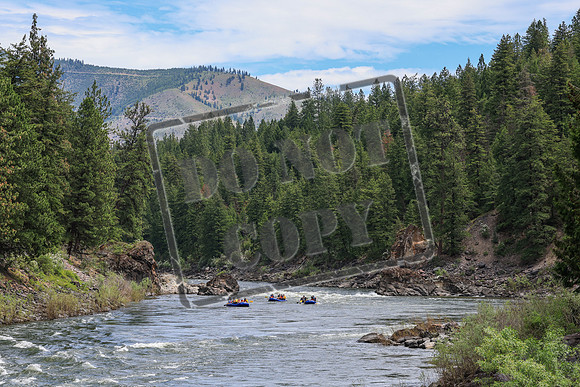 20260619-IMG_7395