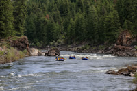 20260619-IMG_7399