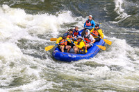 20260619-IMG_7430