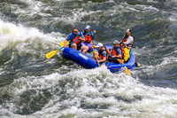 20260619-IMG_7449