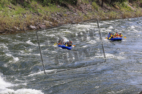 20260619-IMG_7405