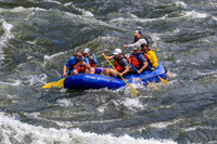20260619-IMG_7446