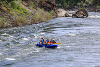 20260619-IMG_7444