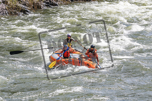 20260619-IMG_6644