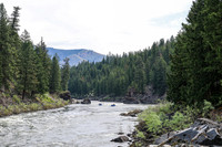 Raft 3