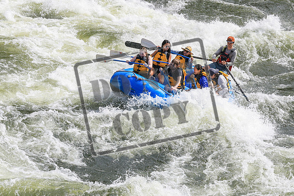 20260620-IMG_8600