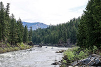 Raft 4