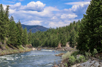 Raft 6