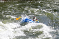 20260620-IMG_8248