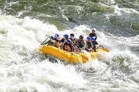 20260620-IMG_8416