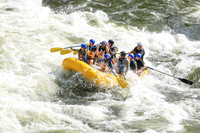 20260620-IMG_8419