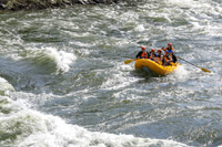 20260620-IMG_8452
