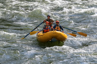20260620-IMG_8494