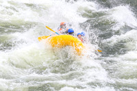 20260620-IMG_9494