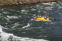 20260620-IMG_0774