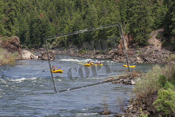 20260620-IMG_0765