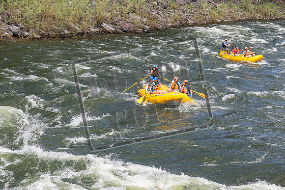 20260620-IMG_0803