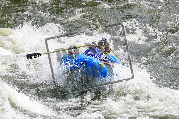 20260620-IMG_8691