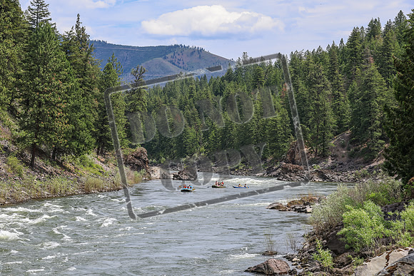 20260620-IMG_9817