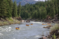 20260620-IMG_9619