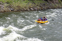 20260620-IMG_9741