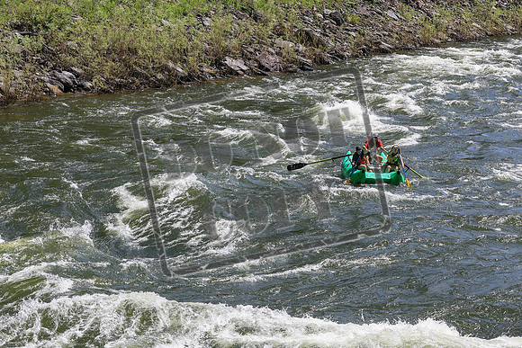 20260620-IMG_9016