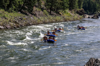 20260620-IMG_9029