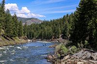 Raft 5
