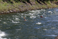 20260621-IMG_2773