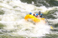 20260621-IMG_3118