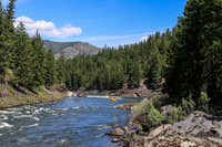 Raft 11