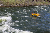 20260621-IMG_3137