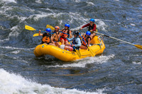 20260621-IMG_2264