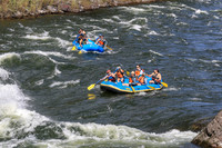 20260621-IMG_3782