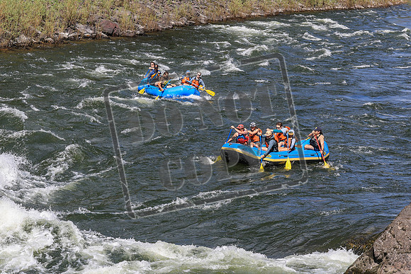 20260621-IMG_3780
