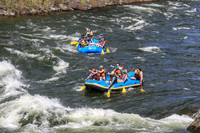20260621-IMG_3784