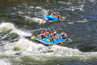 20260621-IMG_3786