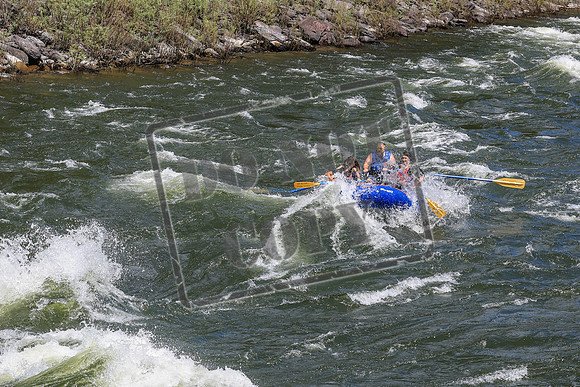 20260621-IMG_3013