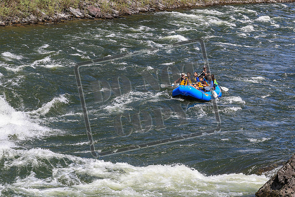 20260622-IMG_4533